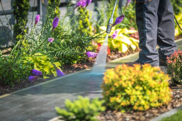  Pittsfield, IL Pressure Washing Pros