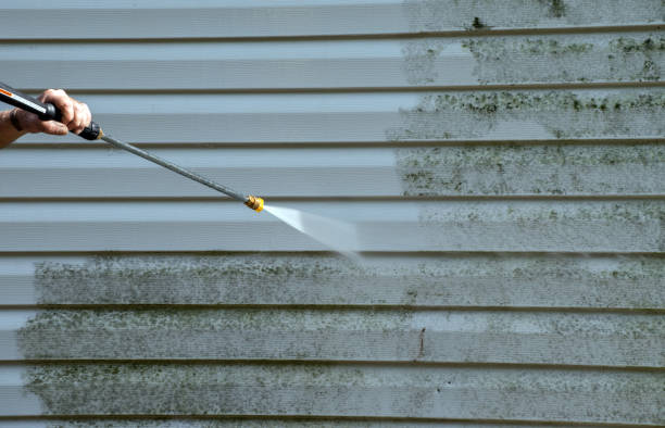 Best Driveway Cleaning and Restoration in Pittsfield, IL